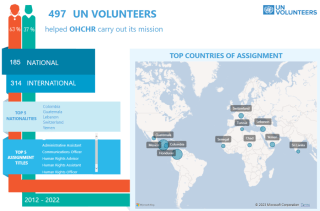 UN Volunteers serving with OHCHR