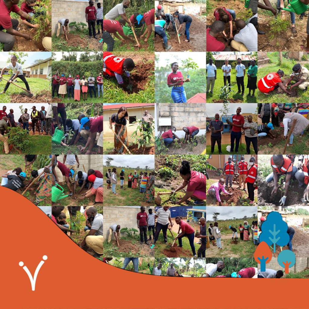 Collagie of photos from IVD 2021 activities in Uganda