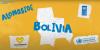 The UN System in Bolivia reached out to the UNV programme to implement the UN Peacebuilding Initiative in Bolivia.