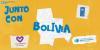 Le système des Nations Unies en Bolivie a fait appel au programme VNU pour mettre en œuvre lʼInitiative des Nations Unies pour la consolidation de la paix en Bolivie.